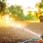 Summer garden irrigation. Sprinkler system with hose watering the grass in the garden