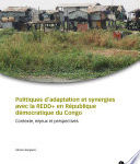 Politiques d'adaptation et synergies avec la Redd+ en République démocratique du Congo, Contexte, enjeux et perspectives