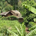 RDC : procès de présumés auteurs d’attaques de villages dans l’ouest