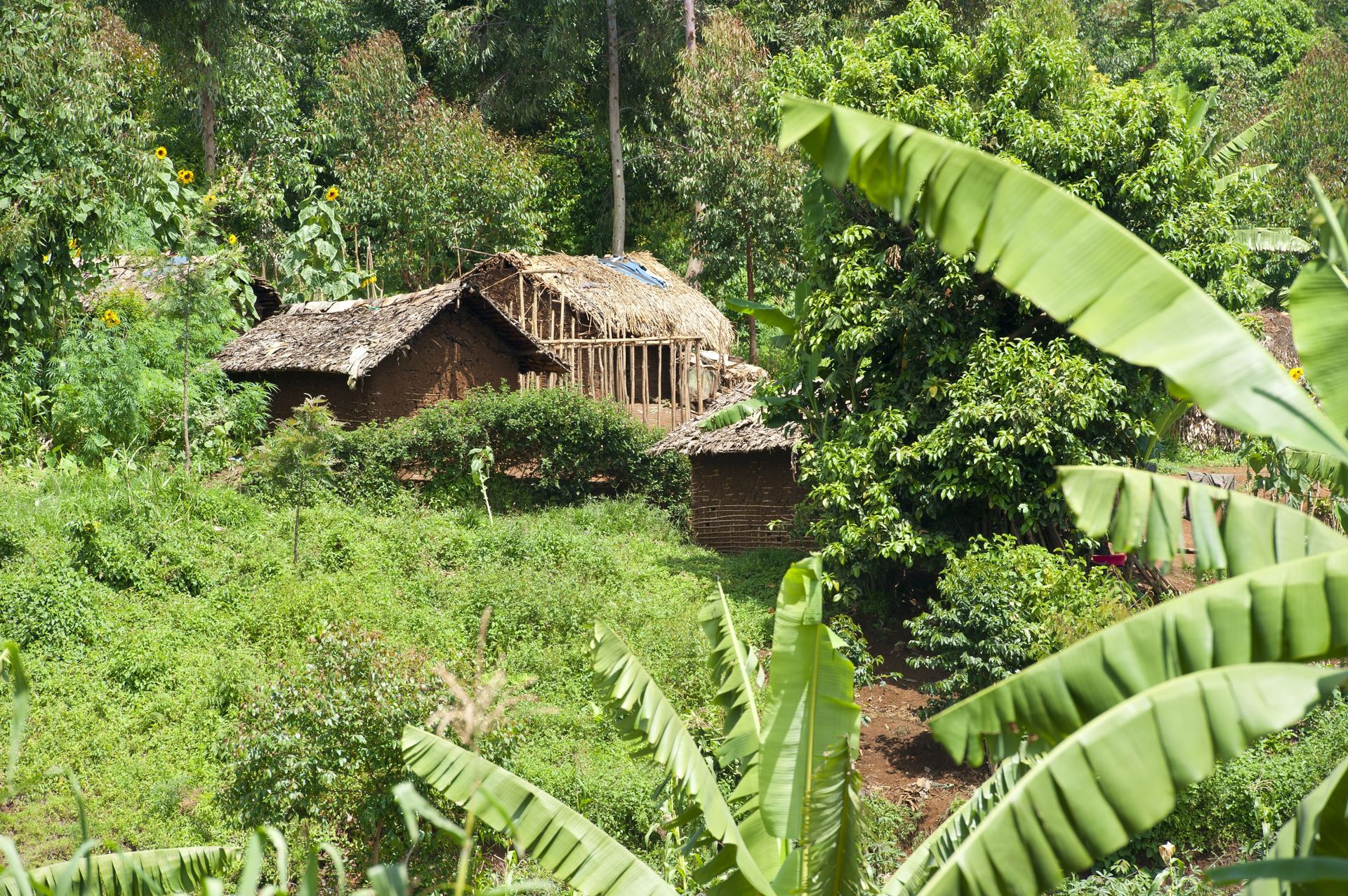 RDC : procès de présumés auteurs d’attaques de villages dans l’ouest