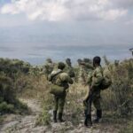 RDC: deux rangers tués dans le parc des Virunga