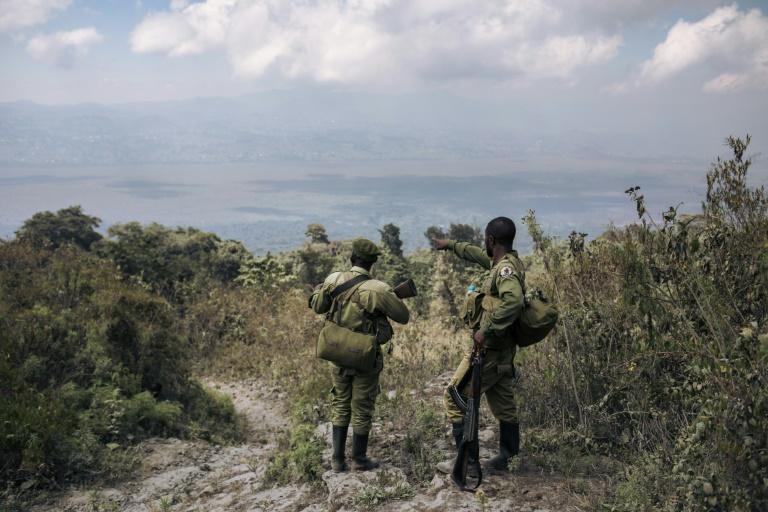 RDC: deux rangers tués dans le parc des Virunga