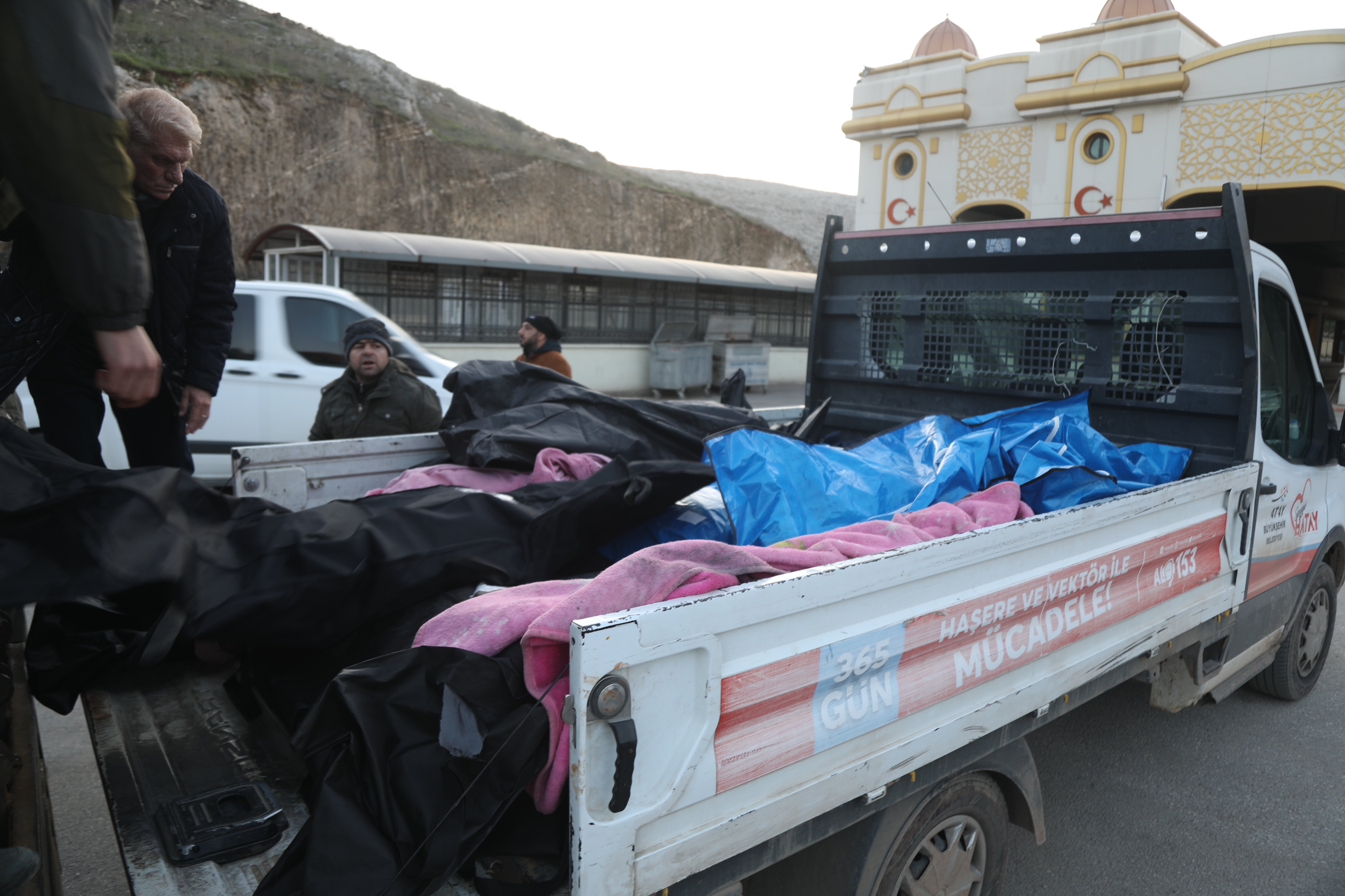 Syria bodies