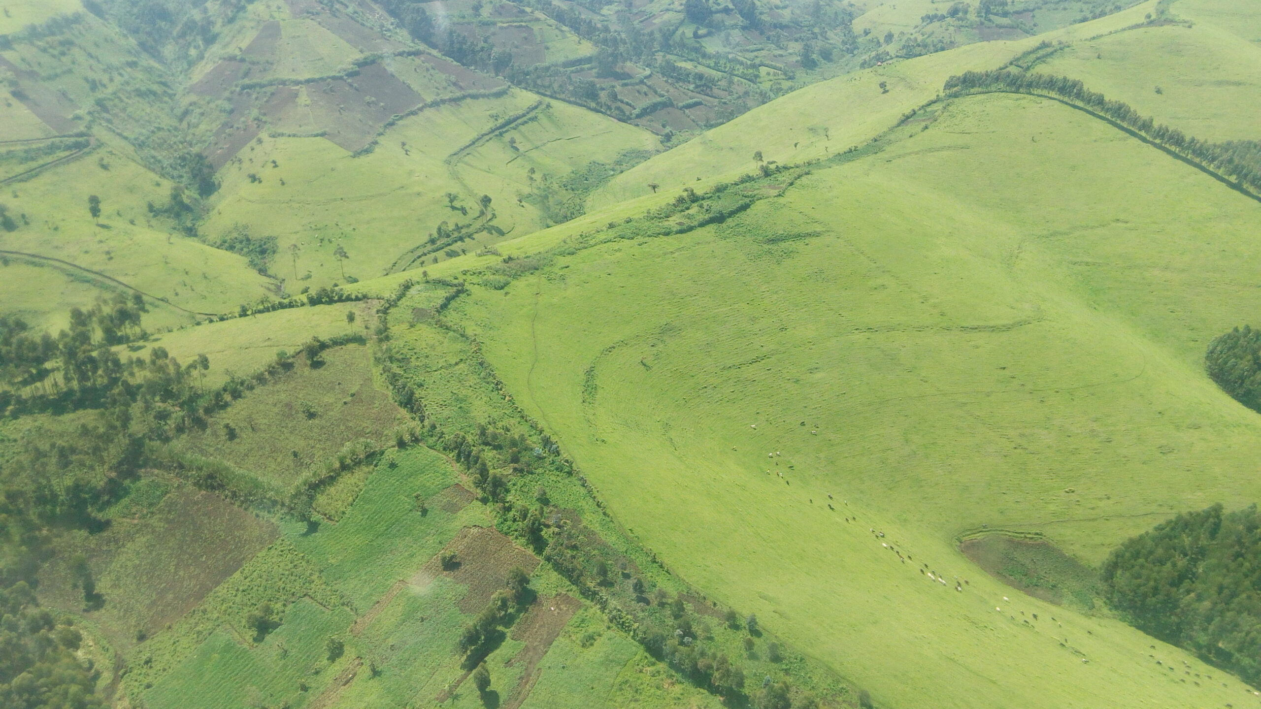 Nord-Kivu : le député national Juvénal Munubo demande à la population et au Gouvernement de bloquer l’avancée du M23