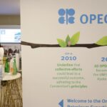 Colère à la COP28 contre l’obstruction de l’OPEP | COP28 : sommet sur le climat à Dubaï