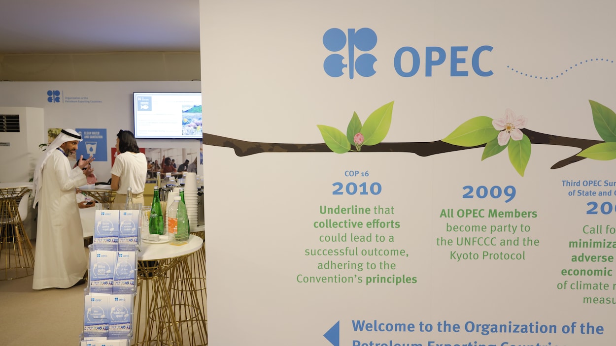 Colère à la COP28 contre l’obstruction de l’OPEP | COP28 : sommet sur le climat à Dubaï