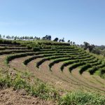 Enclavé, le territoire de Masisi passe les festivités sous les affres de la guerre