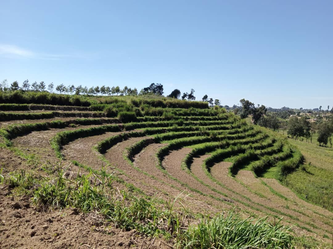 Enclavé, le territoire de Masisi passe les festivités sous les affres de la guerre
