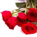 Les 5 Langages d'Amour