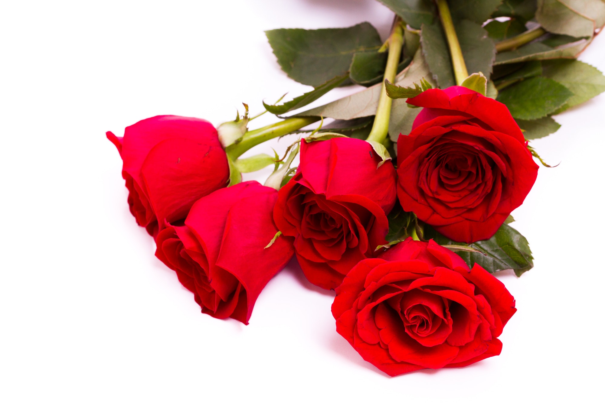 Les 5 Langages d'Amour