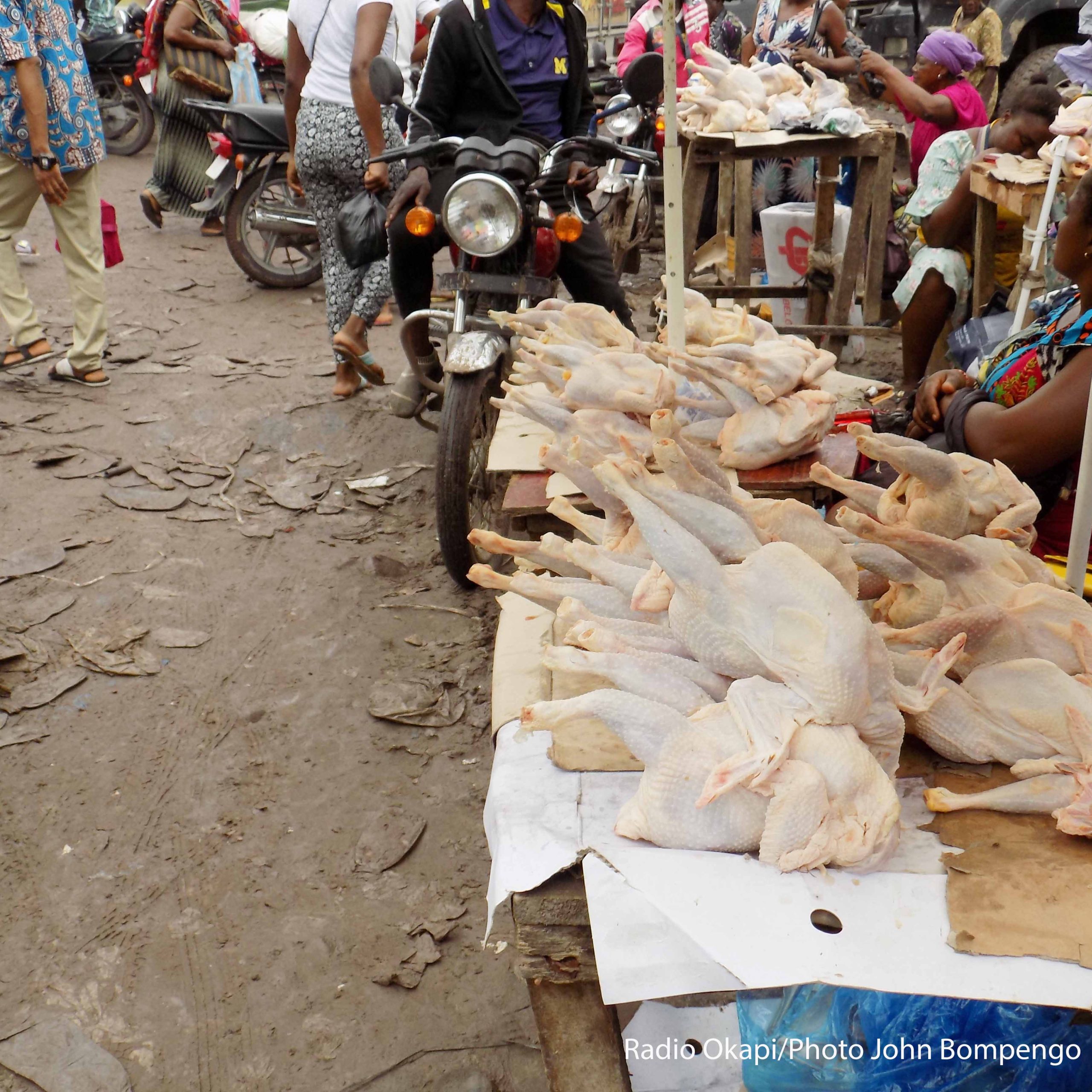 Kisangani : un carton de poulet passe de 100 000 à 150 000 francs congolais