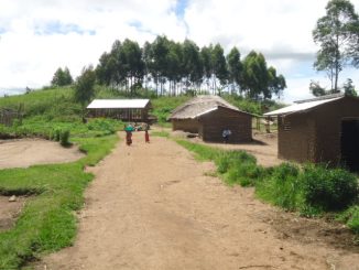 Djugu : plus de 5 000 ménages dans la détresse à Mbidjo