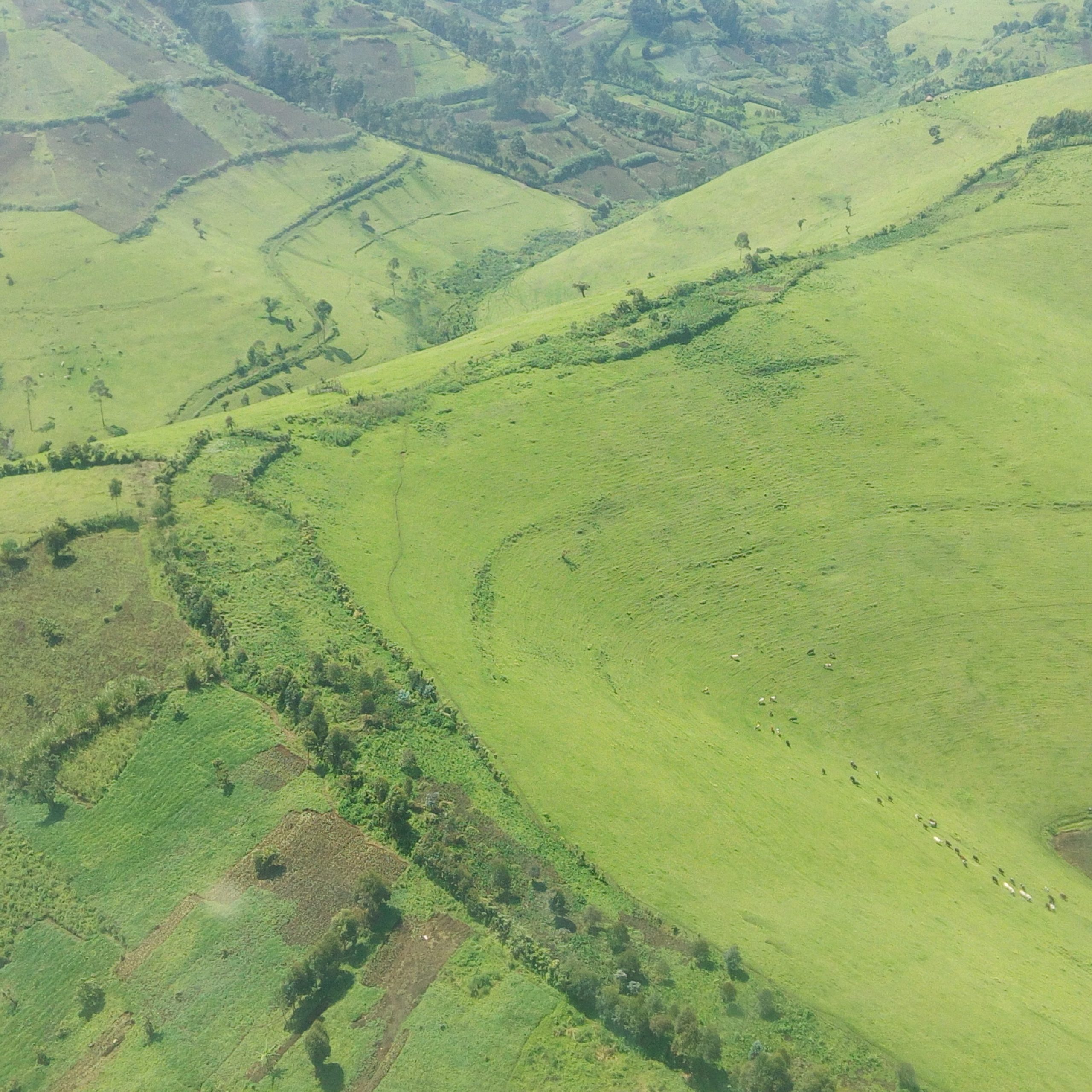 Masisi : retour au calme après d’intenses combats autour de Sake et Shasha