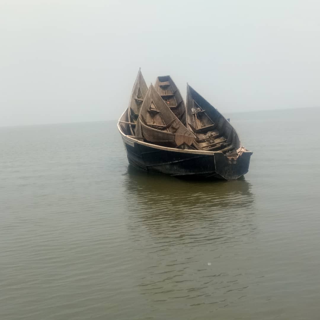 Beni : 4 personnes tuées par des crocodiles en deux mois à Kyavinyonge