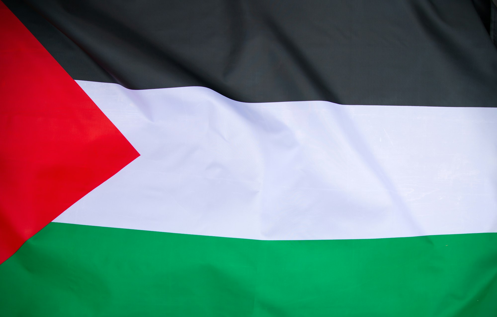 Close up view of the flag of Palestine waving in the wind