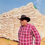 RDC : le Service national récolte 16 000 tonnes de maïs au cours de la saison 2023-2024