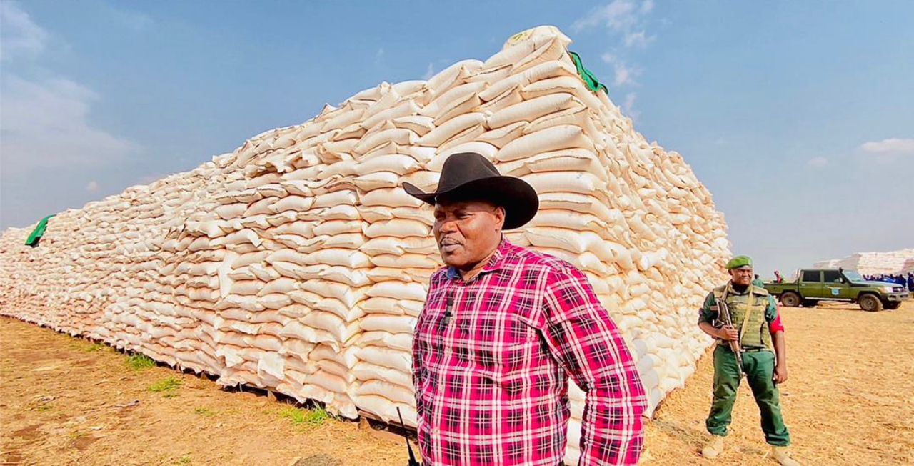 RDC : le Service national récolte 16 000 tonnes de maïs au cours de la saison 2023-2024