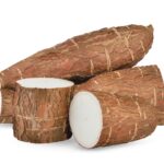 Le Manioc