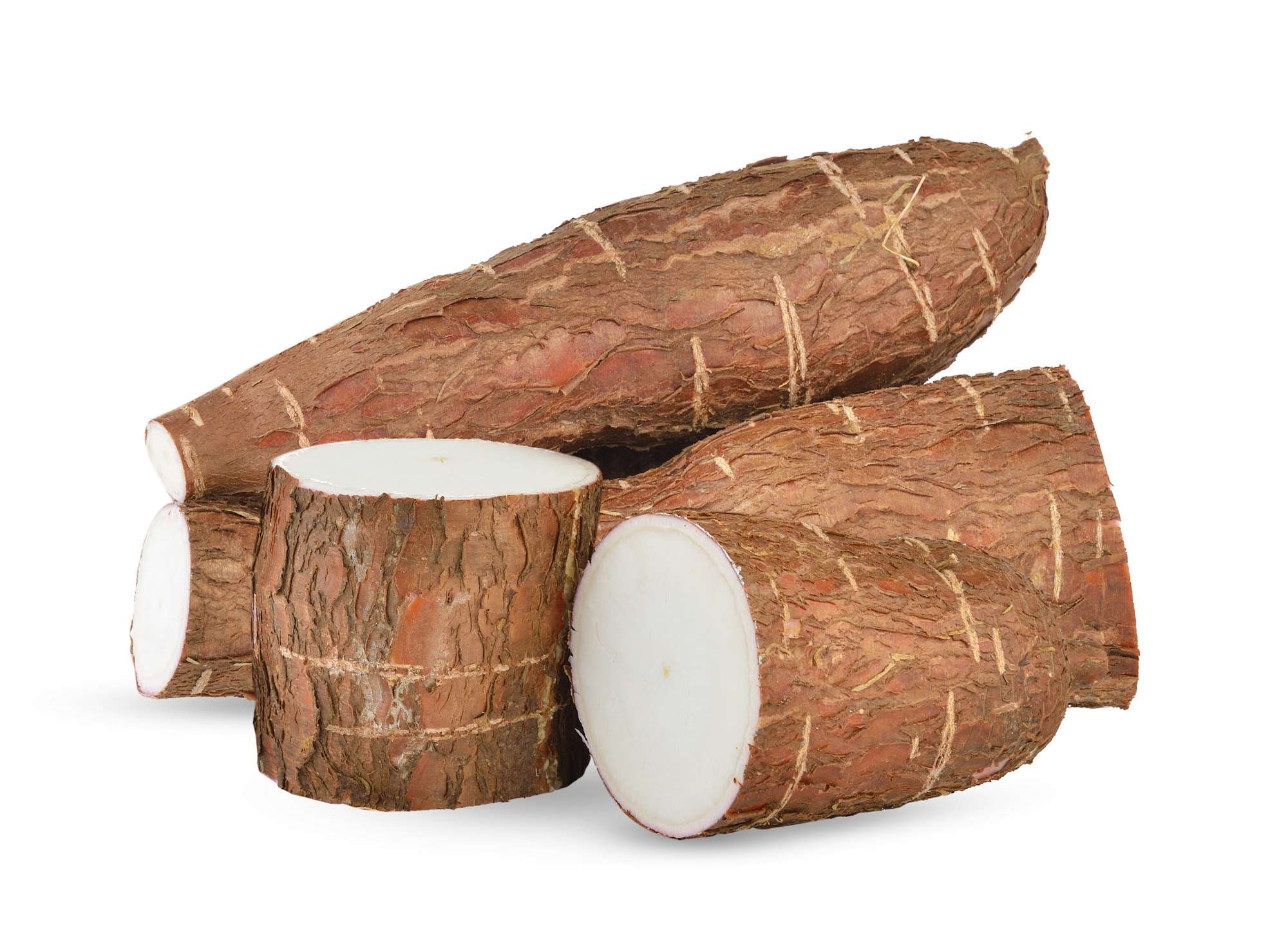 Le Manioc