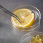 Le régime ADN, ou régime basé sur le profil génétique, est une approche innovante de la nutrition qui a gagné en popularité ces dernières années.