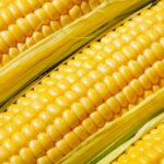 Ripe yellow corn, top view