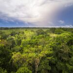 Le Bassin du Congo : Un Cadeau du Ciel