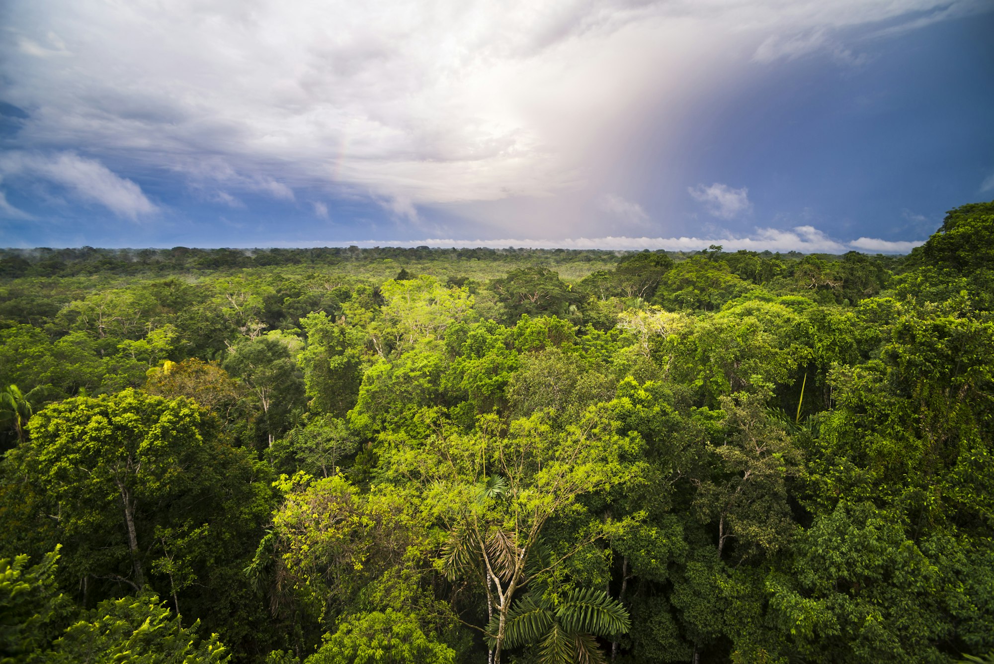 Le Bassin du Congo : Un Cadeau du Ciel
