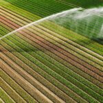 Gestion Efficace de l'Eau