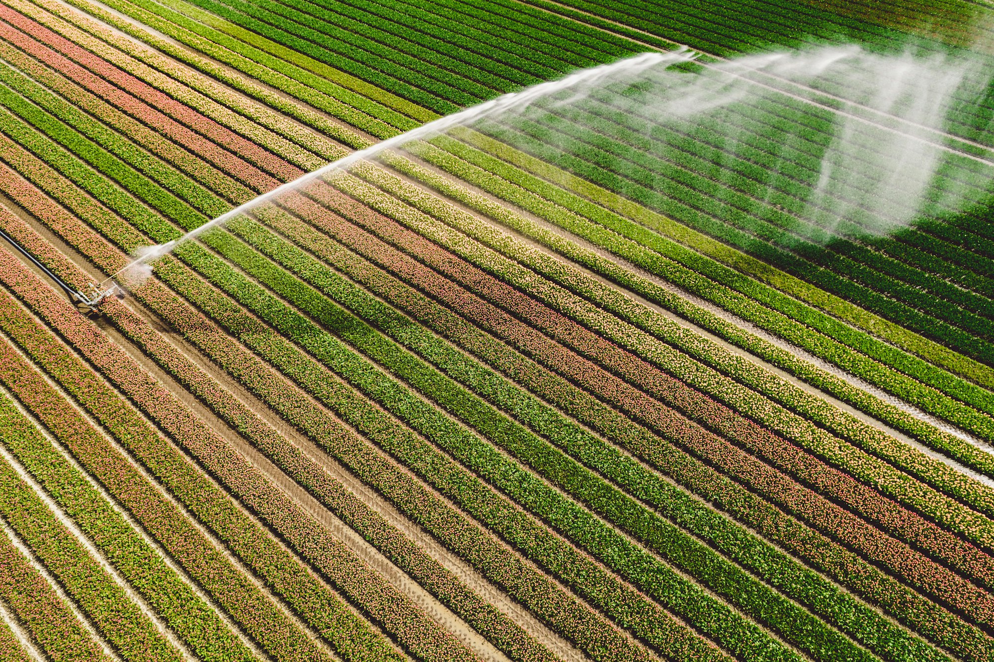 Gestion Efficace de l'Eau
