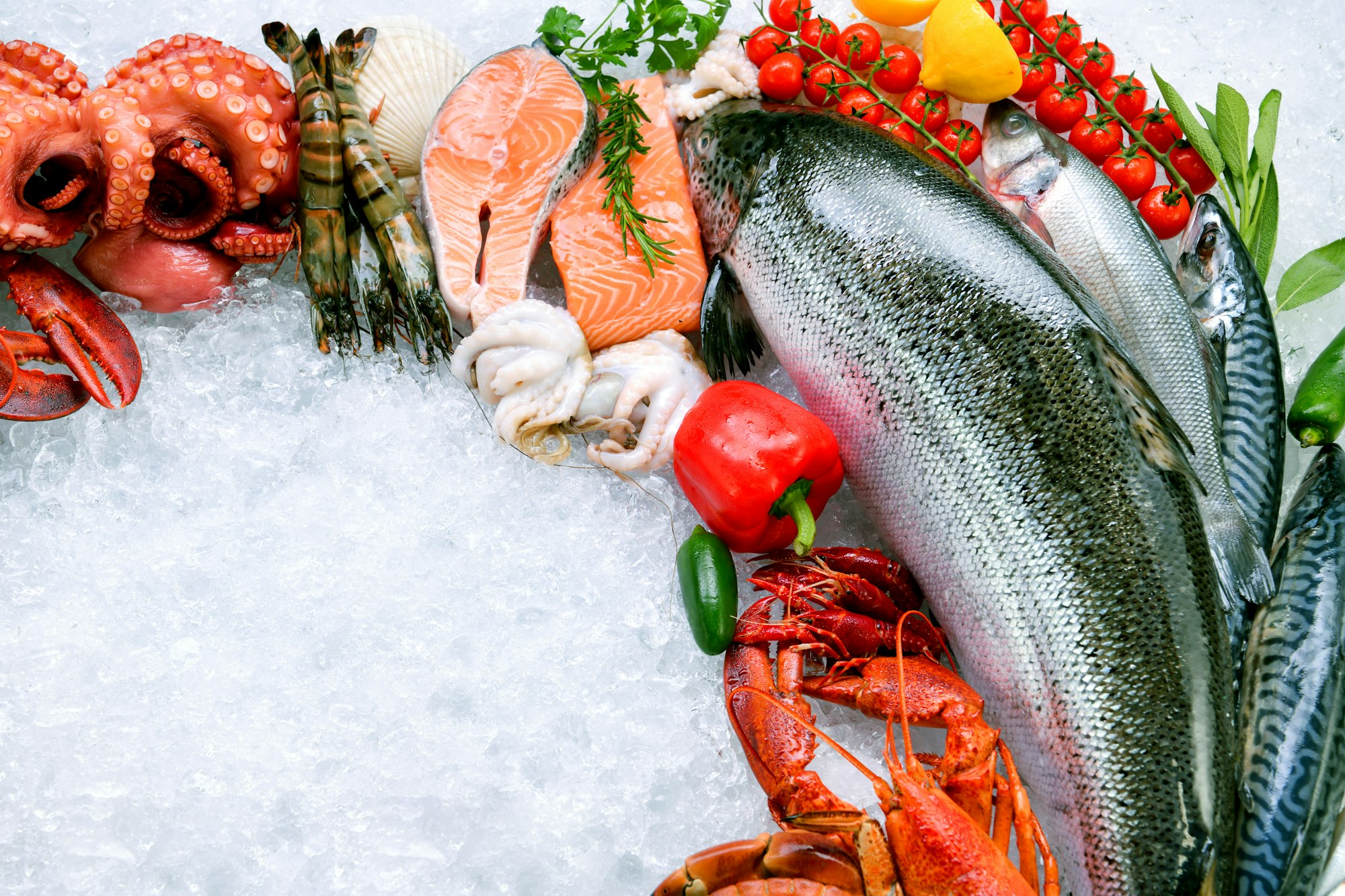 Super Aliments Marins