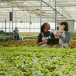 Logiciels de Gestion Agricole