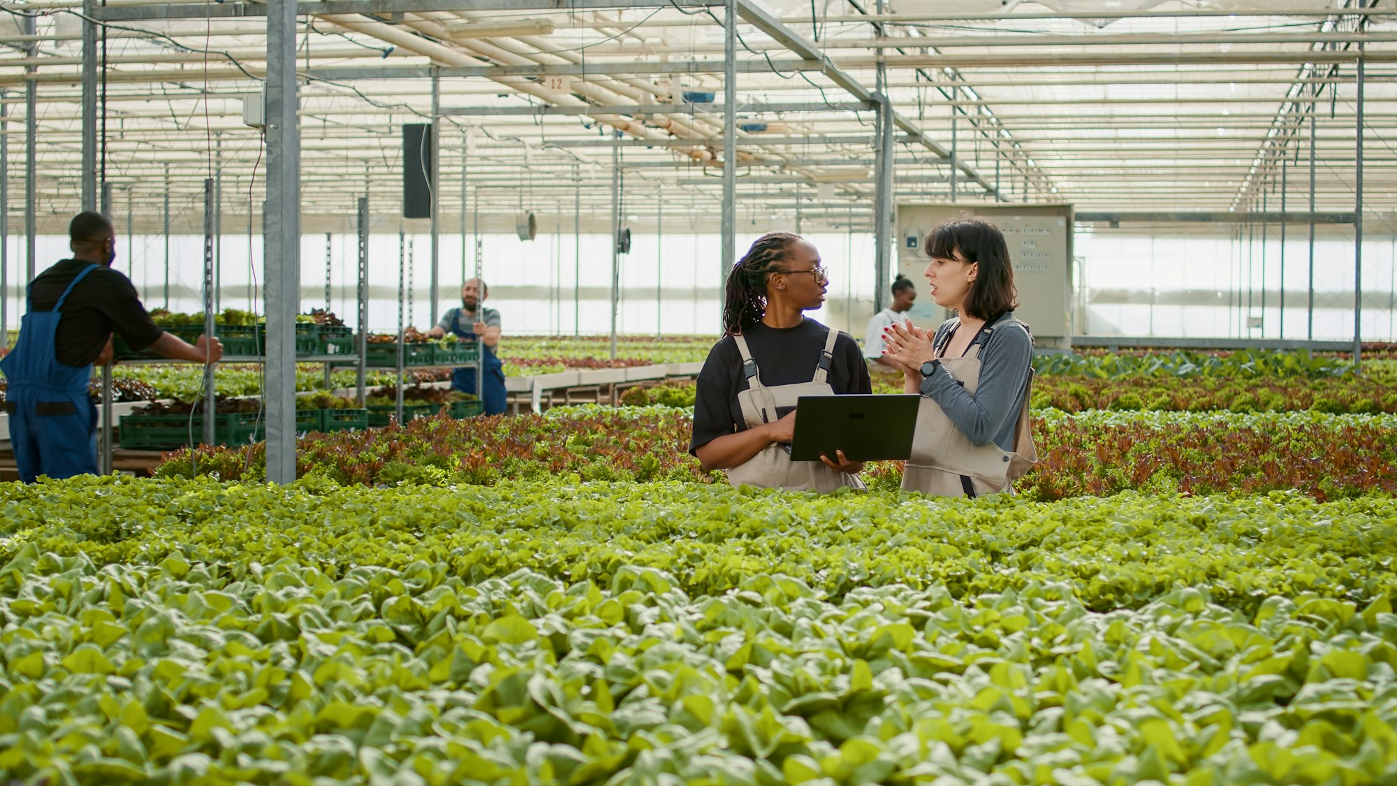 Logiciels de Gestion Agricole