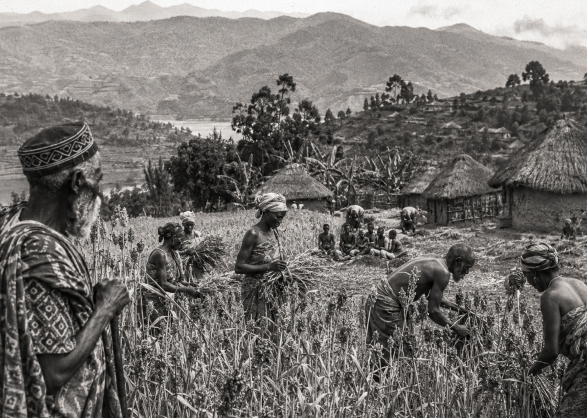 Les Mois du sorgho : le Bushi raconté par la terre, les rites et les saisons