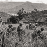Les Mois du sorgho : le Bushi raconté par la terre, les rites et les saisons