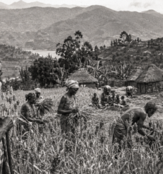 Les Mois du sorgho : le Bushi raconté par la terre, les rites et les saisons