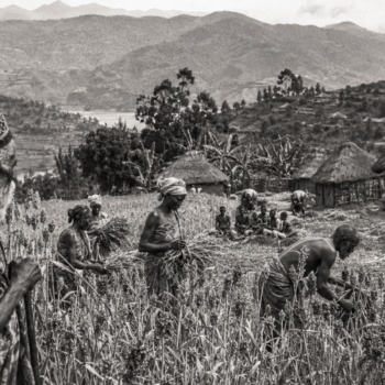 Les Mois du sorgho : le Bushi raconté par la terre, les rites et les saisons