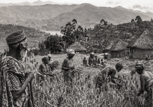 Les Mois du sorgho : le Bushi raconté par la terre, les rites et les saisons