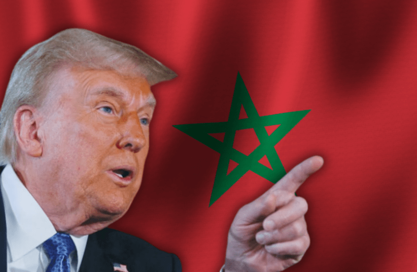 Trump considers Morocco, Puntland, Somaliland for relocated Gazans - report