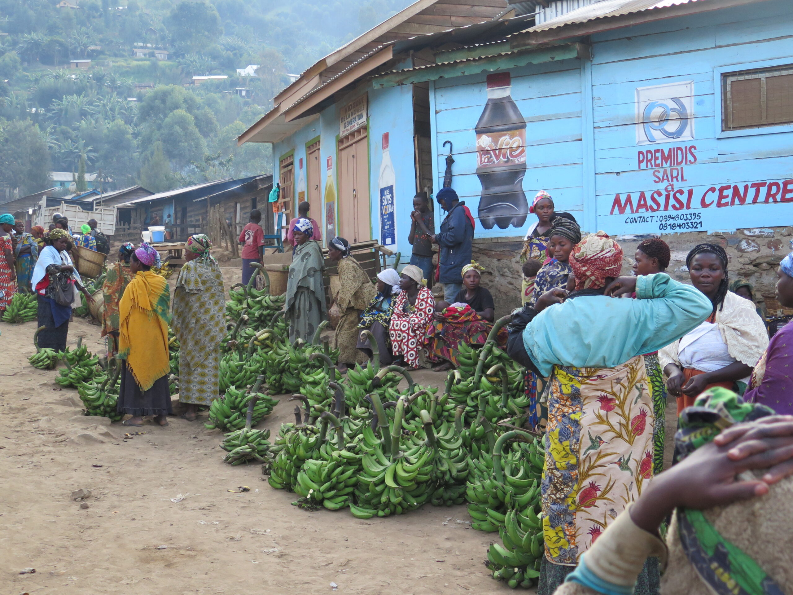 Des agricultures de Masisi déplorent le vol de leurs récoltes durant la guerre