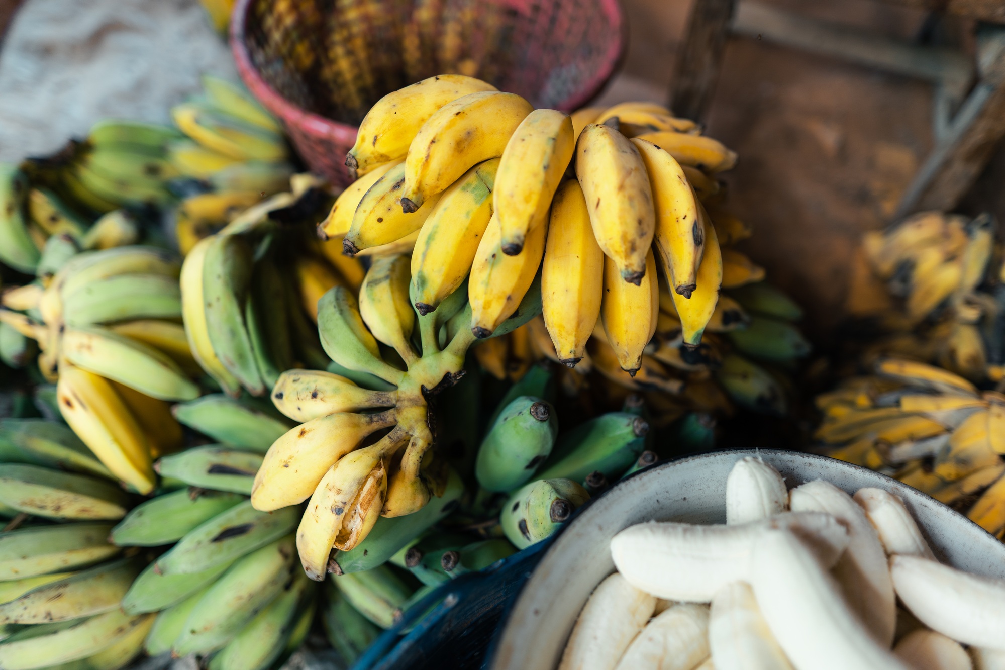 cultivated banana for processing ,Banana in the hand of the seller