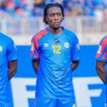 Leopards_rdc