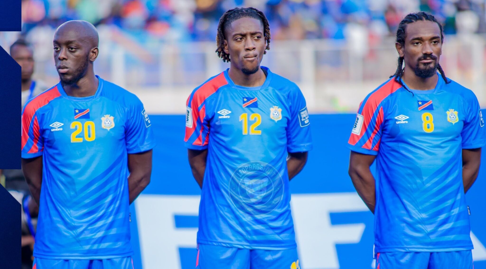Leopards_rdc