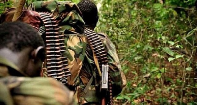 La coordination locale de la nouvelle société civile congolaise rapporte…