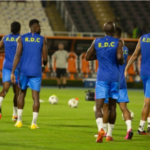 Leopards de la RDC