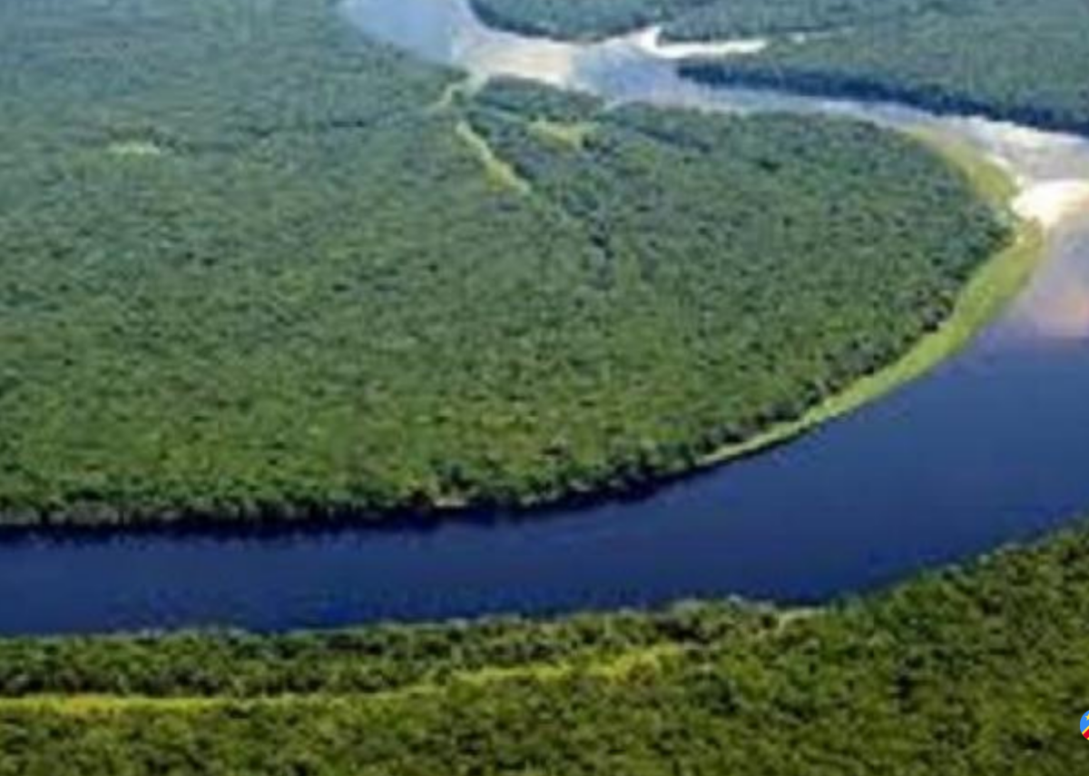 Un pacte sur l’or bleu congolais à N’Djamena