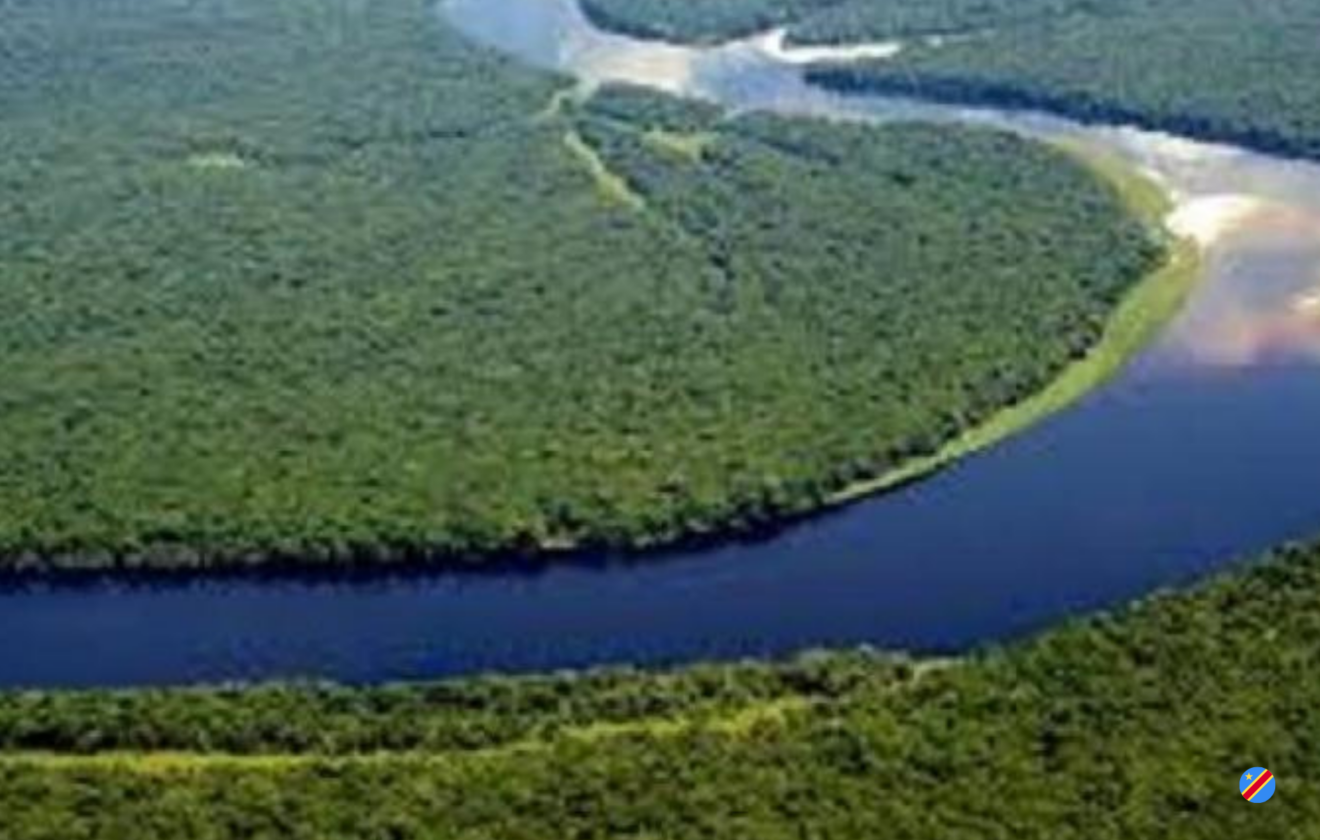 Un pacte sur l’or bleu congolais à N’Djamena