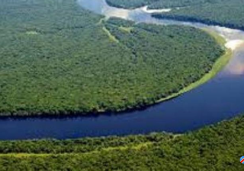 Un pacte sur l’or bleu congolais à N’Djamena