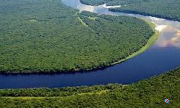 Un pacte sur l’or bleu congolais à N’Djamena