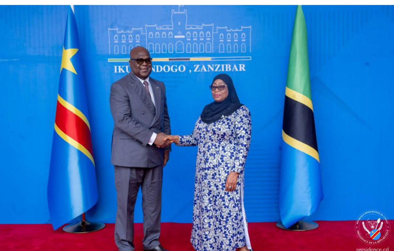 La RDC et la Tanzanie renforcent leur coopération économique et sanitaire