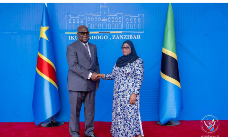 La RDC et la Tanzanie renforcent leur coopération économique et sanitaire